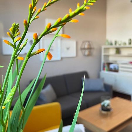 Ferienwohnung Schoenwaelder Mit Kleiner Terrasse Und Wall Box Buxtehude Eksteriør bilde