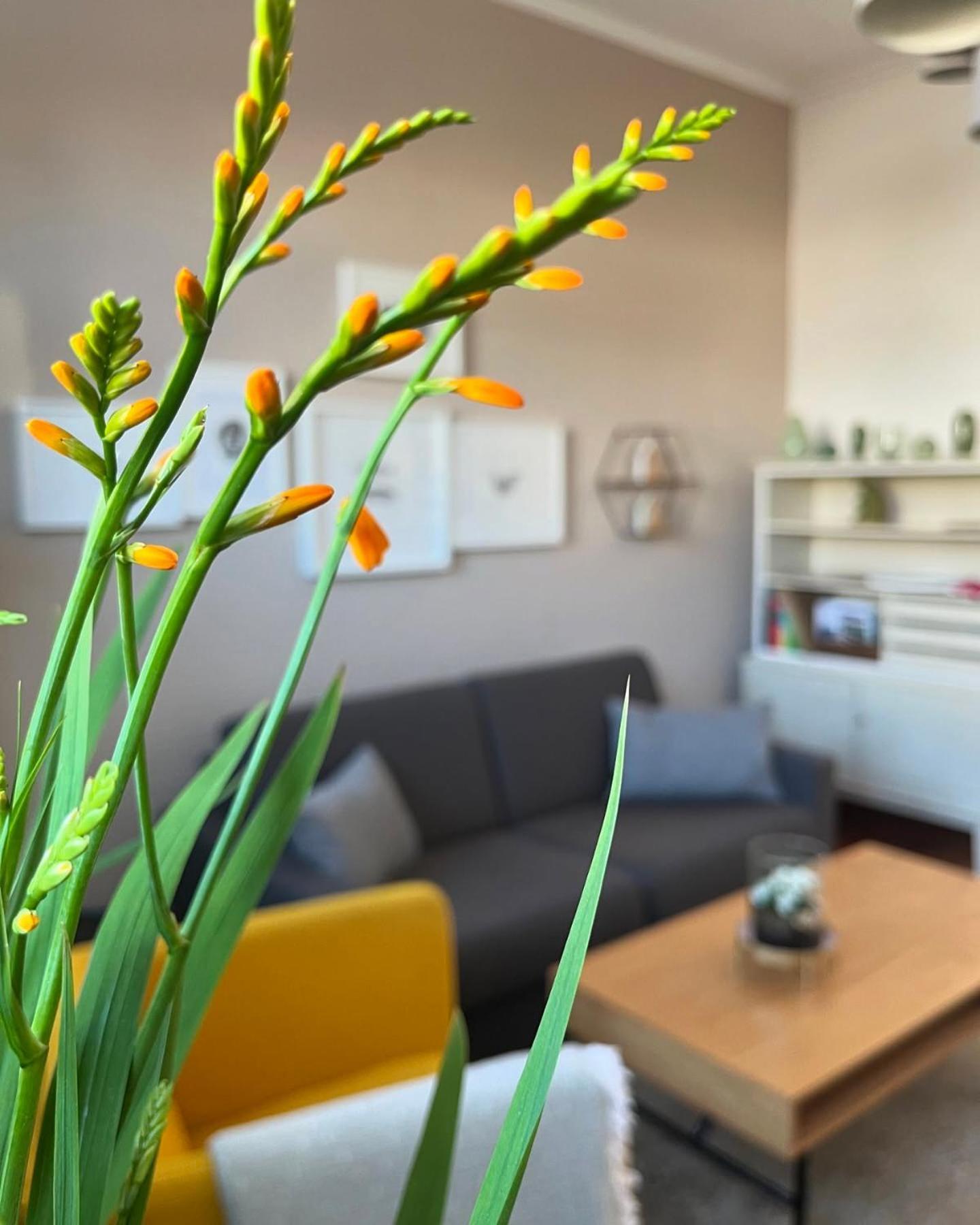Ferienwohnung Schoenwaelder Mit Kleiner Terrasse Und Wall Box Buxtehude Eksteriør bilde